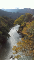 P_20160925_143524.jpg