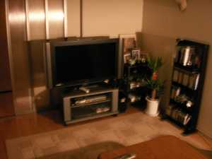 h001.jpg